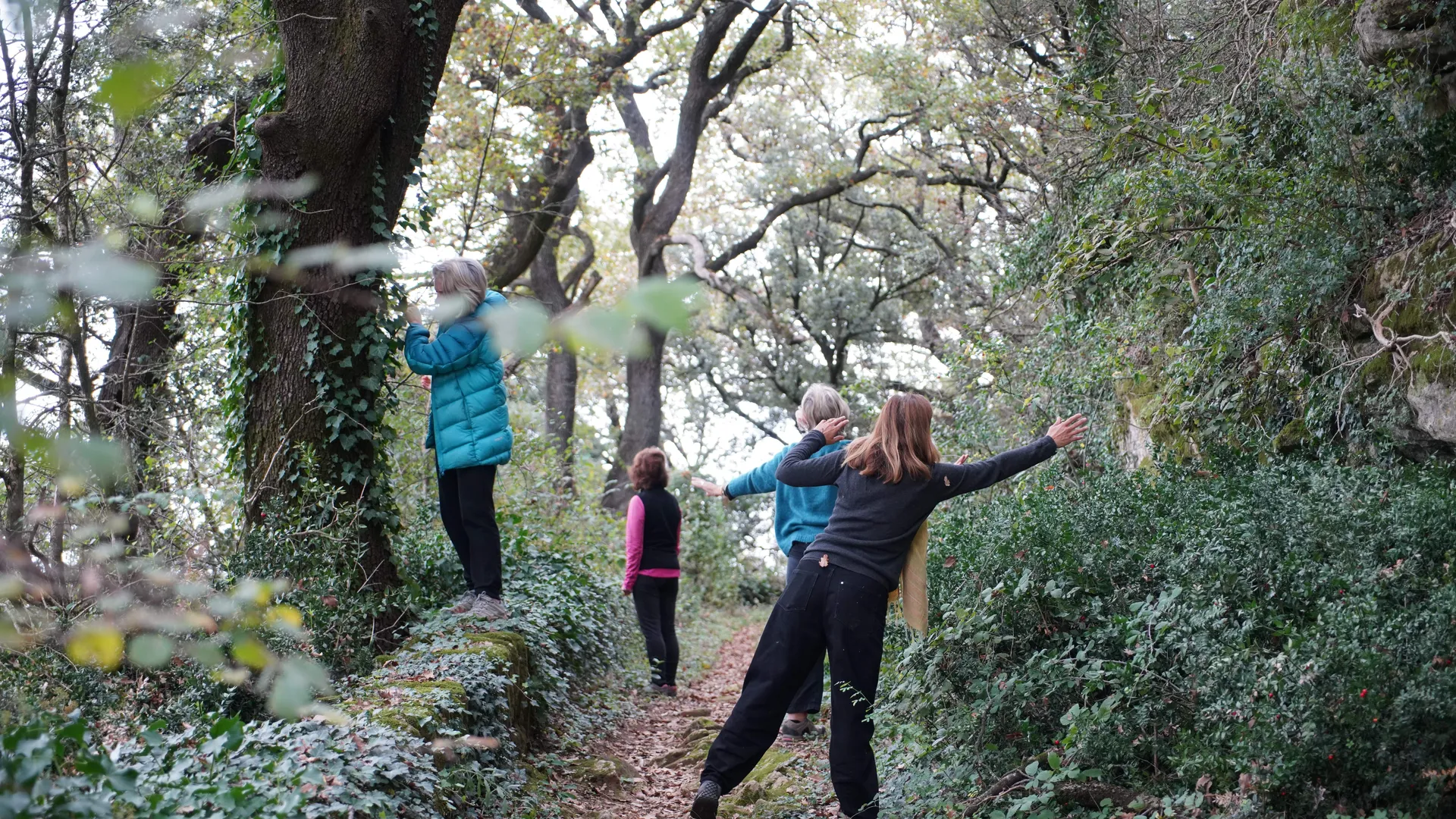 Contact avec le vivant